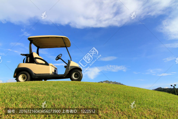 路徑上的高爾夫球車；漂亮的綠草和藍(lán)天背景