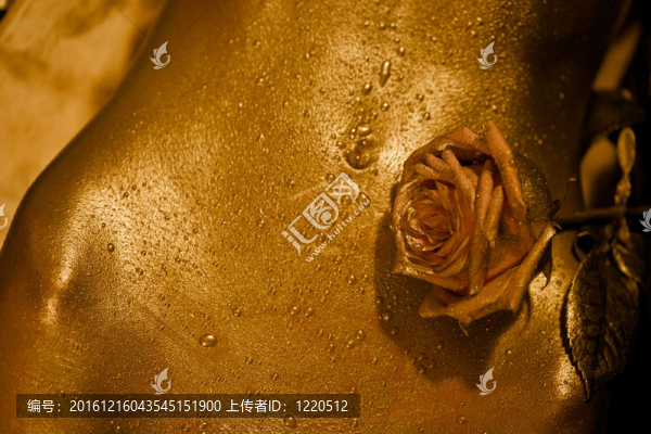 部分婦女身體與玫瑰