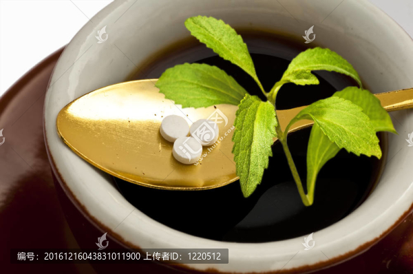 甜菊糖片；支持；