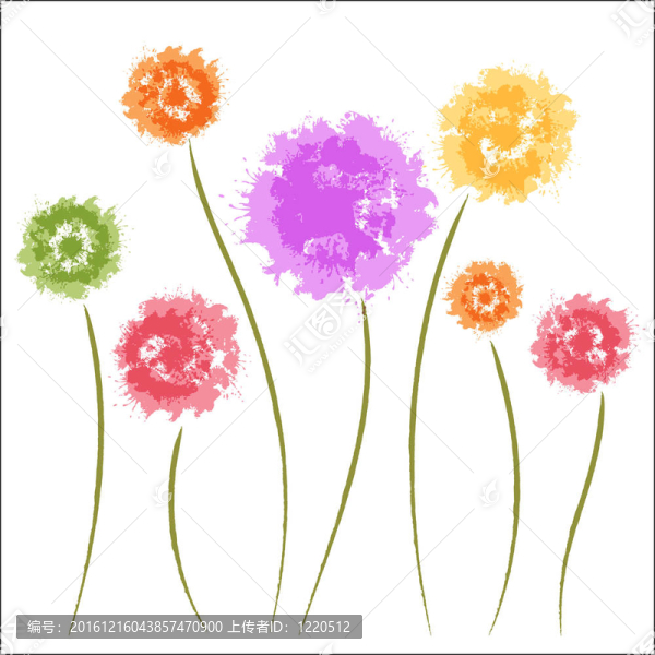 蒲公英花。水彩畫