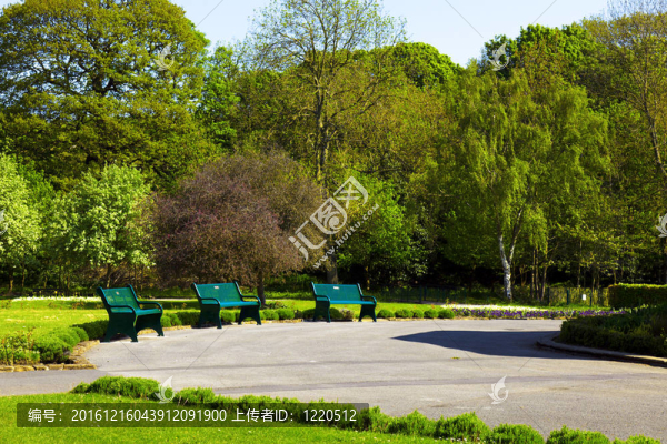 城市和平公園
