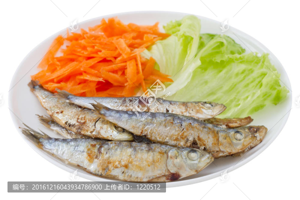 在板的萵苣和胡蘿卜炒沙丁油魚