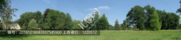 春天的公園