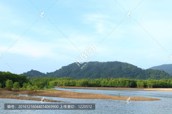 泰國南部熱帶海灘紅樹林