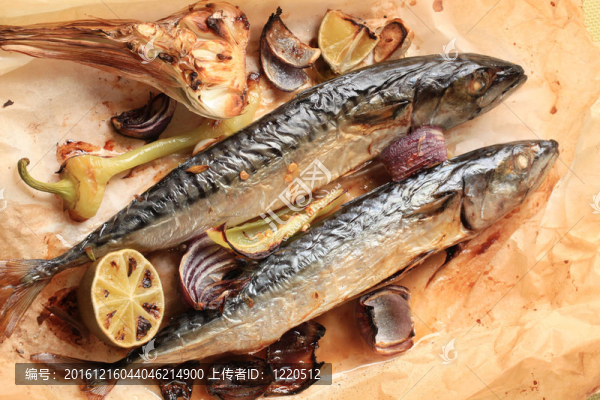 烤鯖魚