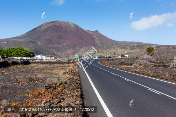空路蘭薩羅特島；加那利群島