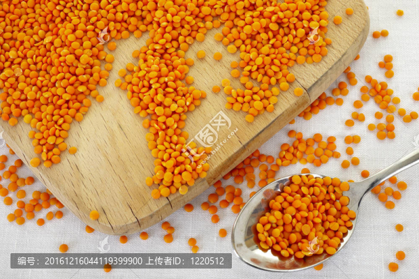 紅扁豆