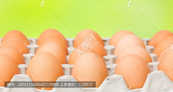 生食雞蛋