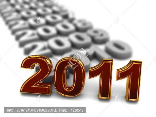 新的2011年