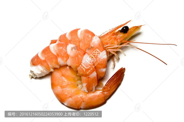 蝦