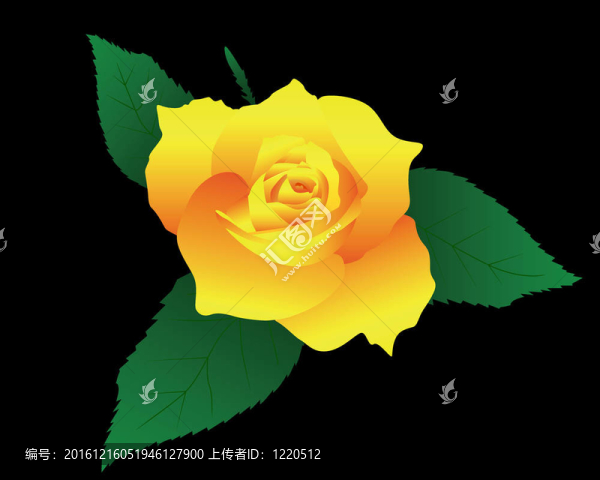 黃玫瑰