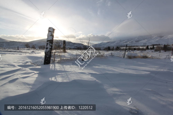 早晨雪