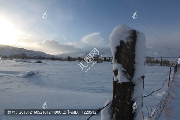早晨雪