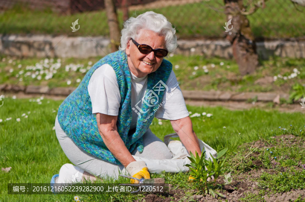 席家花園高級婦女