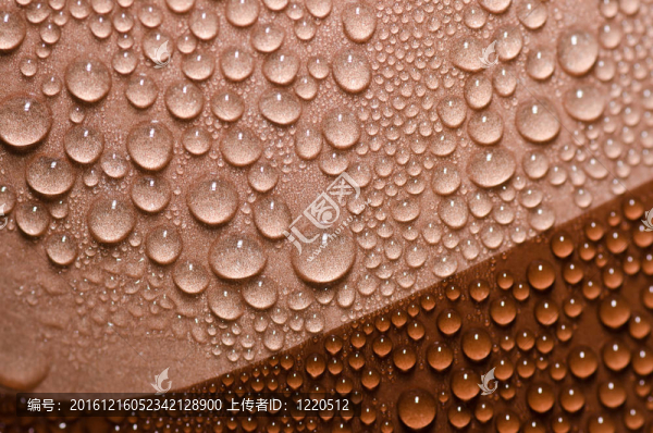 綠色淡水