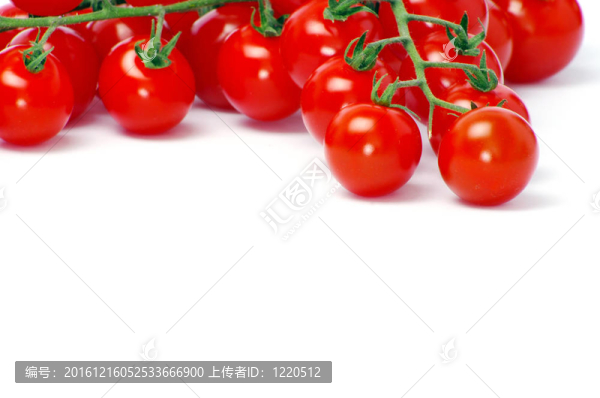 圣女果