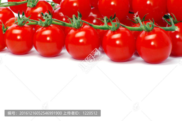 西紅柿