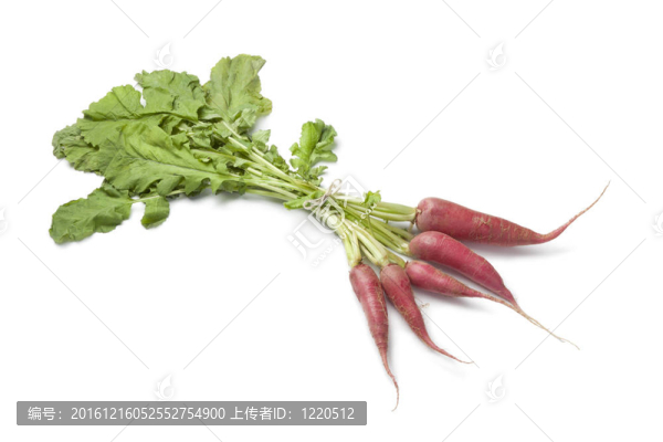 鮮紅色的蘿卜
