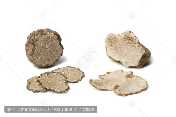黑與白松露