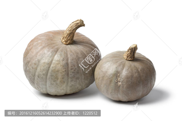 兩個(gè)灰色的南瓜