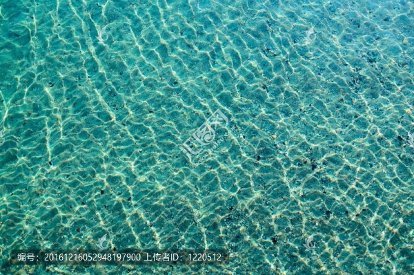 水族背景