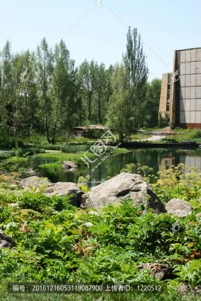 湖公園