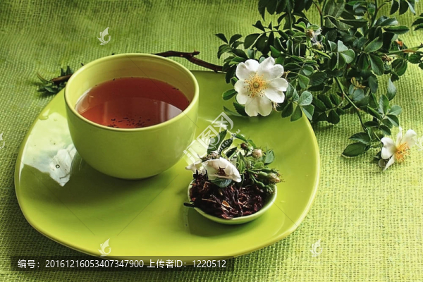 玫瑰茶和一枝花