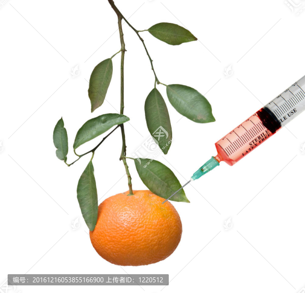 Tangerine夜店分析