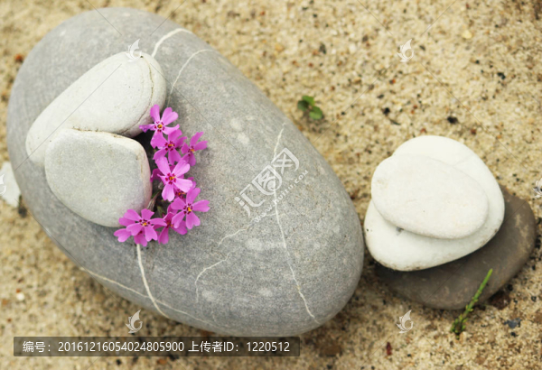 石頭和花朵