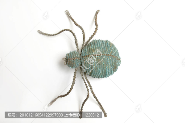 蜘蛛