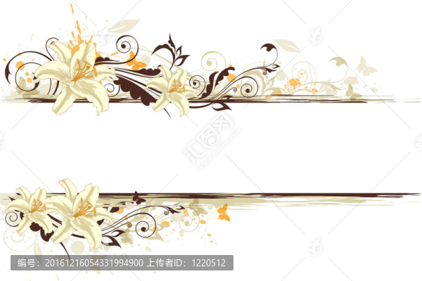 百合花背景