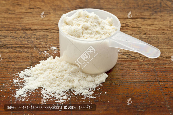 乳清蛋白白粉