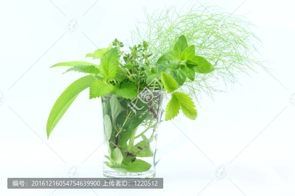 新鮮的香草