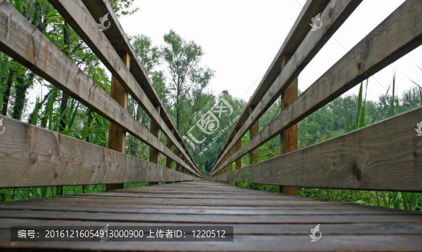 在一個(gè)自然公園海濱步道