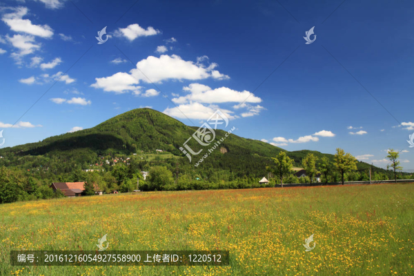 春天的風(fēng)景