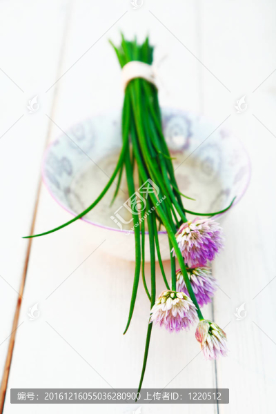 韭菜