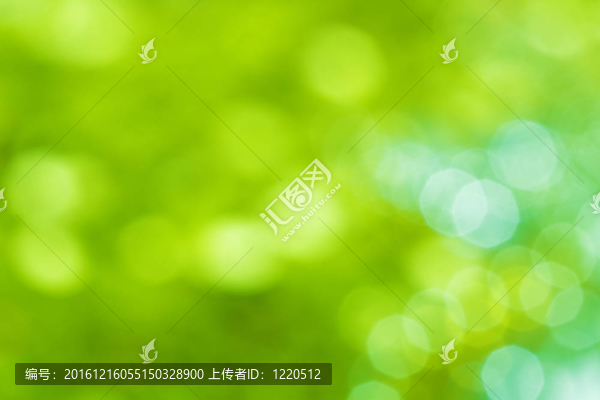 陽光的亮點(diǎn)