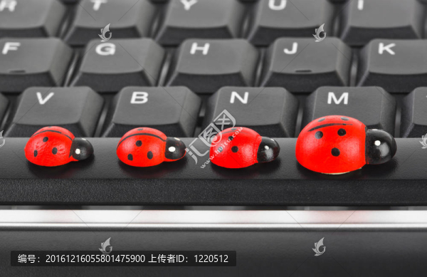 電腦鍵盤上的玩具瓢蟲