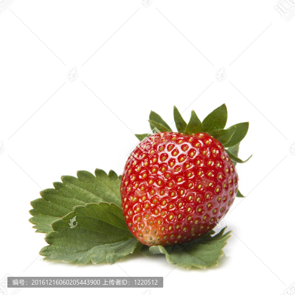 草莓