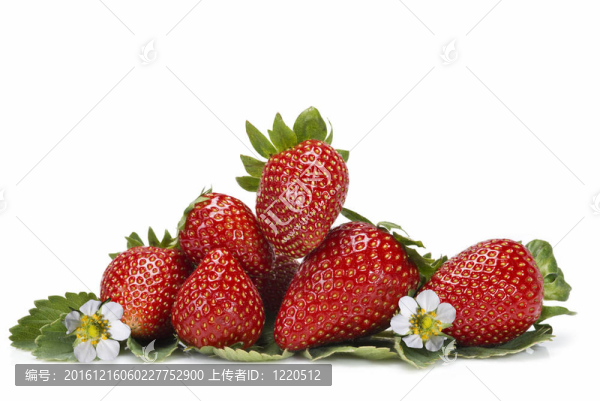草莓花和花。