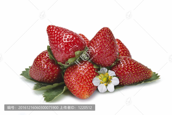 草莓和它們的葉子和花。