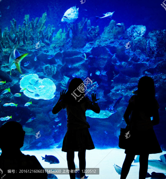水族館