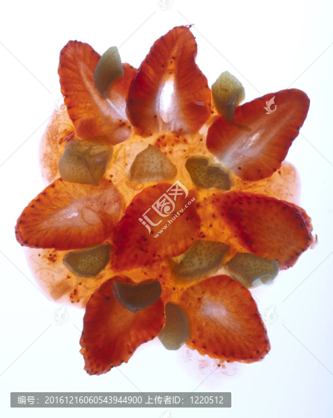 Fresh,Strawberry和大黃醬