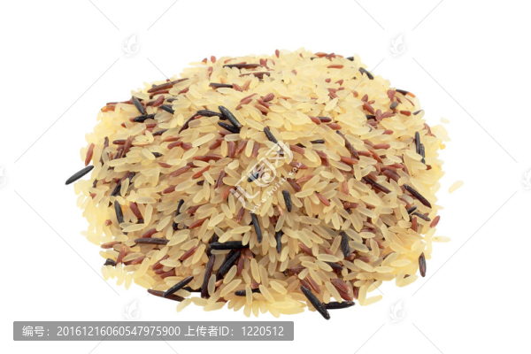 Rice沙拉品種