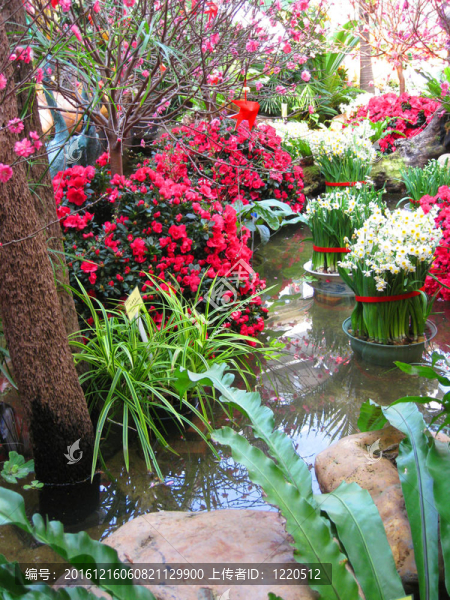 亞洲花園