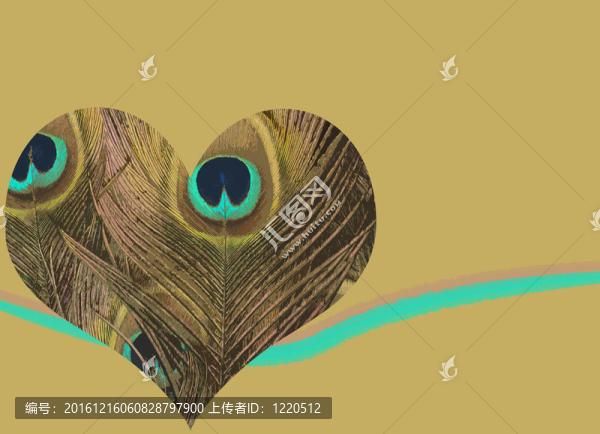 孔雀羽毛的心