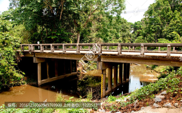 森林中橫跨河流的舊水泥橋