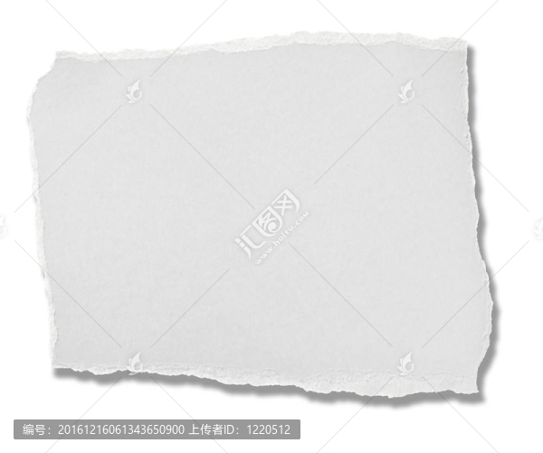 白皮書撕消息背景