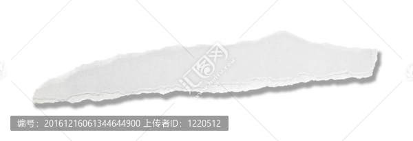 白皮書撕消息背景