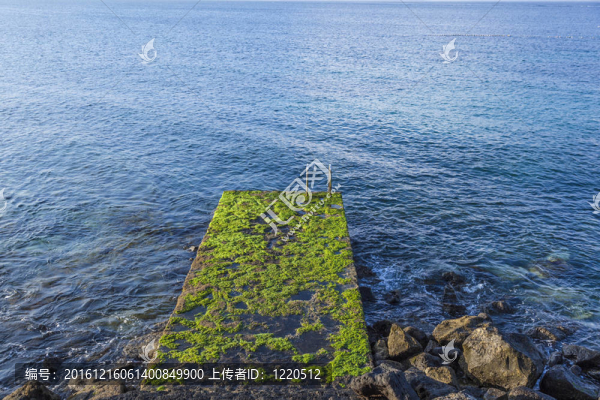 從旅游ressort大海老梯子